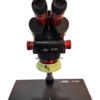 YCS 6558X Ultra HD Trinocular Stereo Microscope